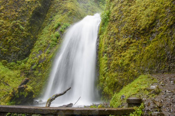 Slow-motion shot of a waterfall in a lush, green forrest outside of Portland, Oregon.