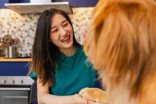 istock Young woman interacts happily with her dog in a cozy kitchen setting during a sunny afternoon at home 2194126935