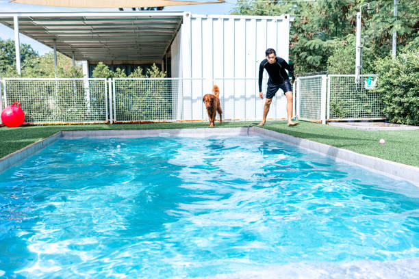 Golden retriever with young man playing together, aiming for his favorite toy