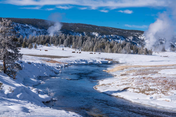 istock Yellowstone National Park In Winter 2194131233