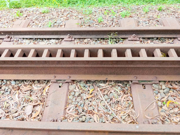 View of Cogwheel railway train tracks.