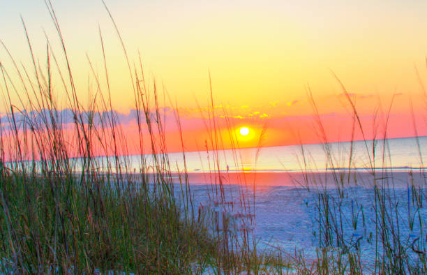 istock Beach Sunrise-Hilton Head, South Carolina 2194133629