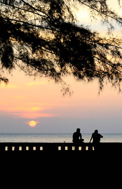 istock friends sitting together on the beach drinking and watching sunset 2194139866