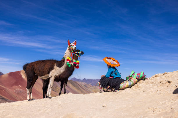 Llamas and indigenous woman in Rainbow Mountain, Vinicunca, Peru