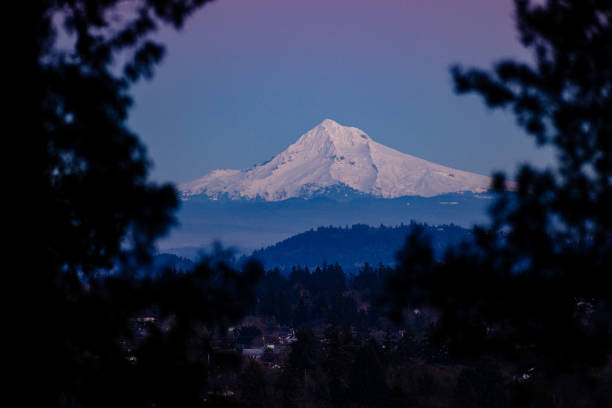 Blooming season in Hood River, Oregon. Iconic view landscape. Red barn, Mt. Hood and blooming trees in pear orchard