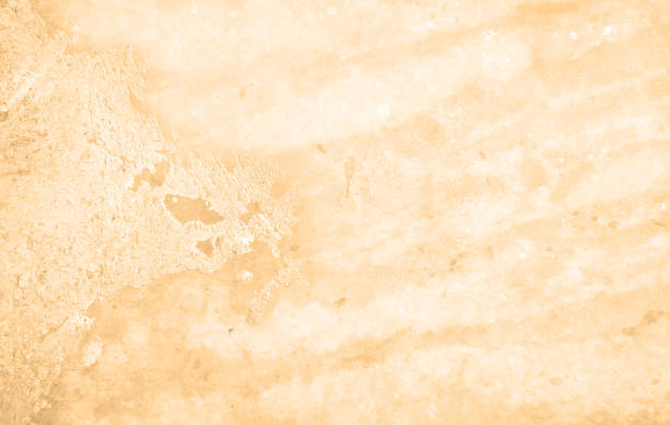istock Grungy Light brown beige fawn color gradient textured effect old faded distressed weathered run down blank empty plain horizontal stained scuffed vector background with smudged abstract grunge texture like rough rustic plastered peeling off texture wall 2194148322