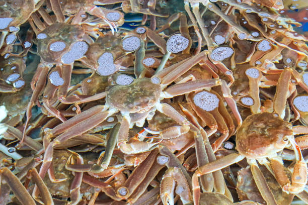 istock Crab at the seaside fish market 2194153166