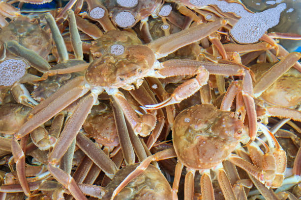istock Crab at the seaside fish market 2194153173