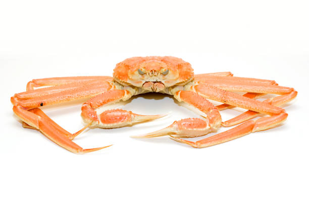 The crab is boiled and cooked