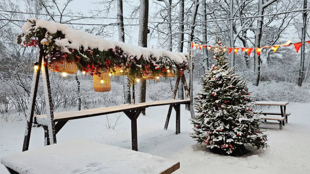 istock New Year's decoration in the winter park 2194155629