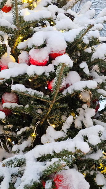 istock New Year's decoration in the winter park 2194155630