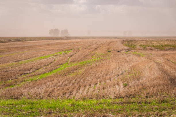 Sandstorm on a farmer's field after harvest.