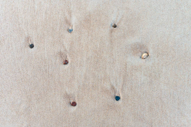 Close-up shot of wet pebble and sea foam at the sandy beach