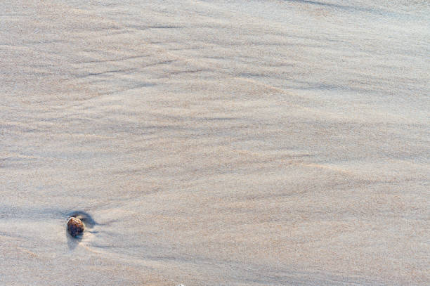 Selective focus Sea sand beach,Isolated yellow sand waves, Light brown Sand dunes surface texture background. 20