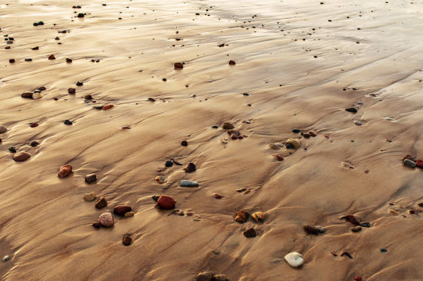 Sand texture. Sandy beach for background. Climate change. Drought. Ocean. Sea. Sea level. Minimalist simple concept design 20
