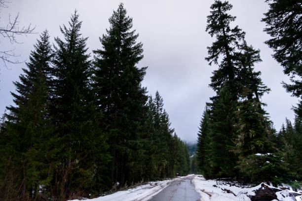 istock Snow in the middle of a forest, accessible only via remote access roads 2194160046