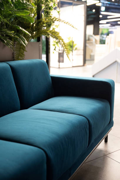istock A stylish teal sofa complements a contemporary space filled with plants 2194162135