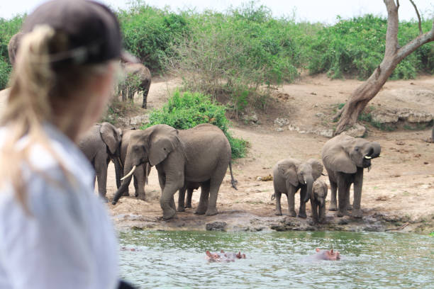 istock African elephants during boat safari 2194162283