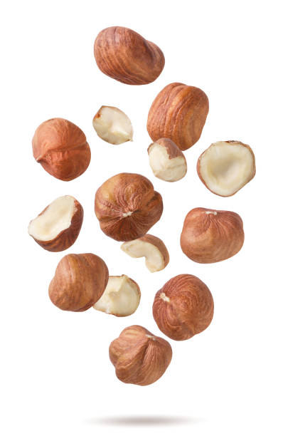 istock Hazelnuts, halves and pieces flying on a white background. Isolated 2194167682