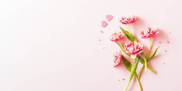 istock Pink tulips and hearts on a light pink background 2194170507
