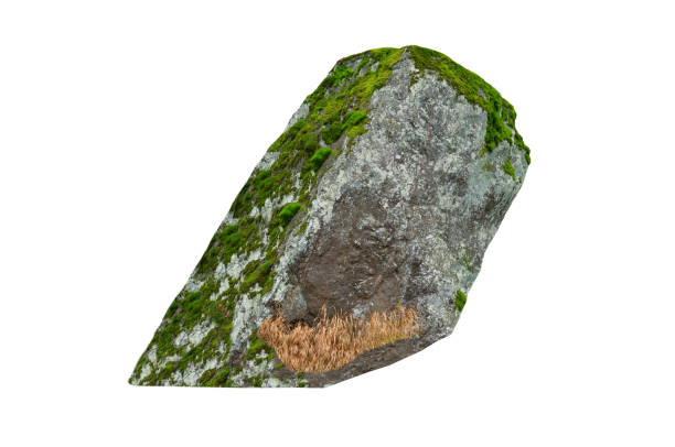 istock wet stone overgrown with moss isolated on white background 2194172382