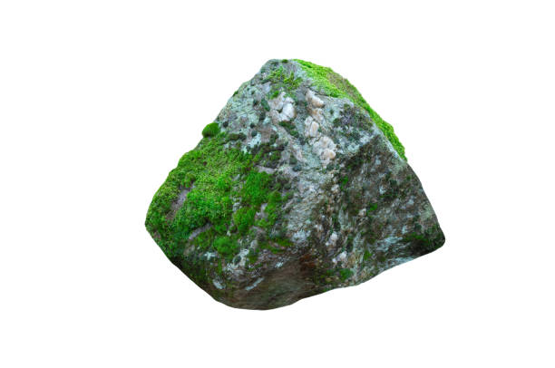 istock wet stone overgrown with moss isolated on white background 2194172384