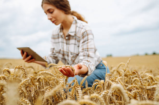istock Technology of modern agriculture. 2194174616