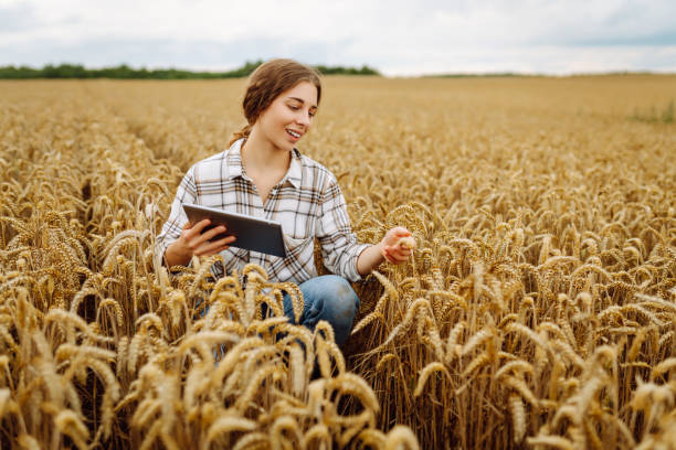 istock Technology of modern agriculture. 2194174624