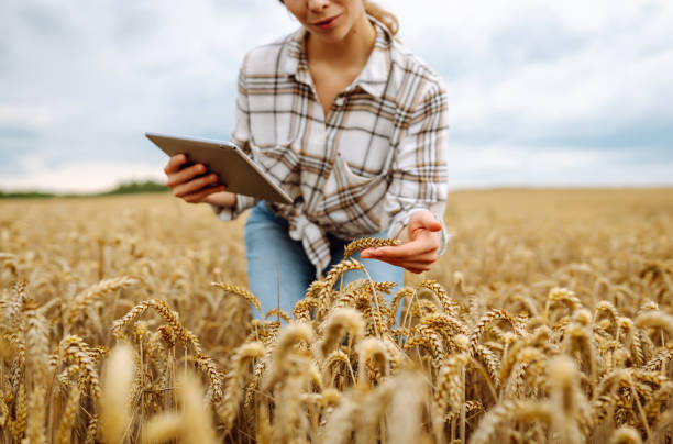 istock Technology of modern agriculture. 2194174627