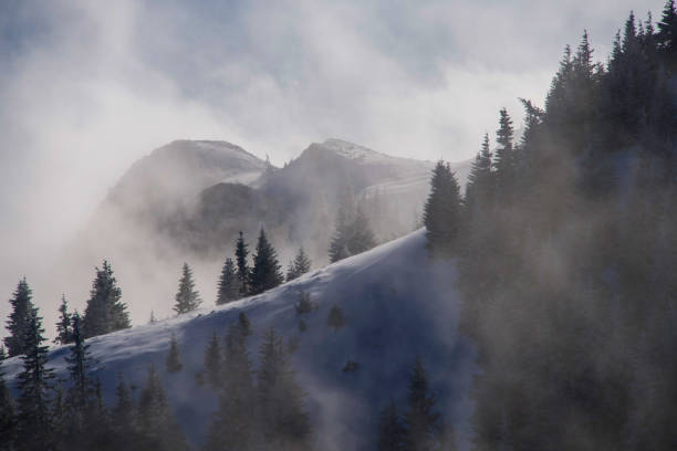 Winter landscape, mountains in the fog