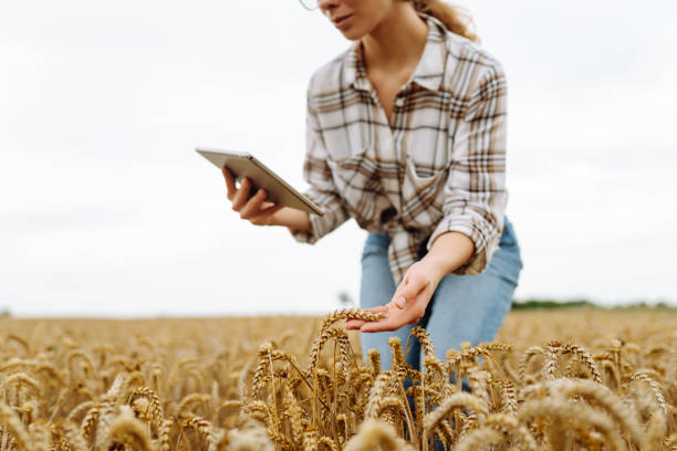 istock Technology of modern agriculture. 2194174649