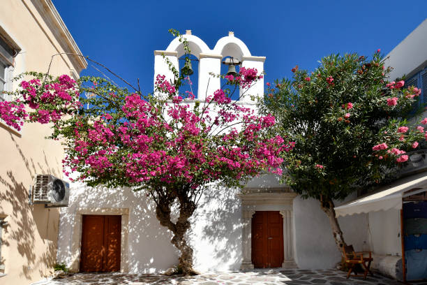 istock Greece, Paros Island, Parikia 2194175644