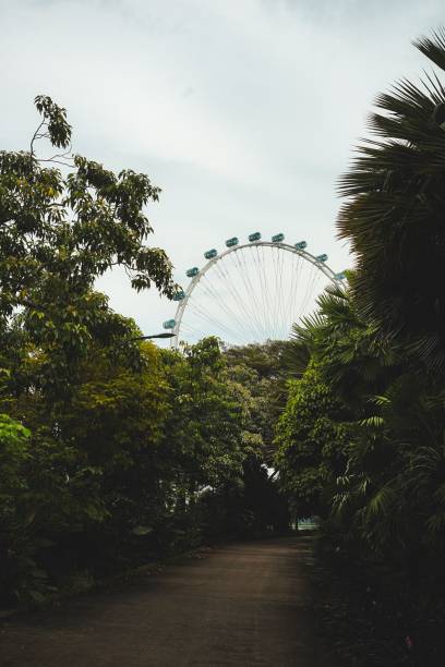istock Ferris wheel behind lush foliage in a park setting 2194178675