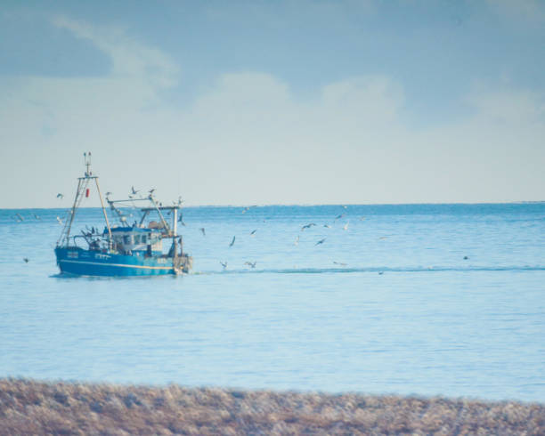 istock Fishing Boat with Seagulls Flying 2194179957