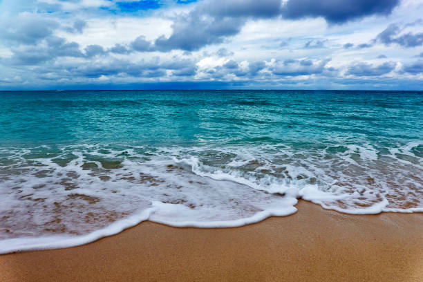 tropical climate, waves, low angle view