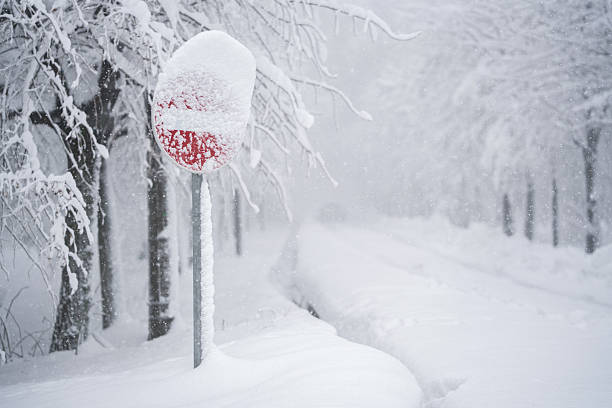 Community of Center Point Farm in snowstorm, Worcester, Pennsylvania, USA