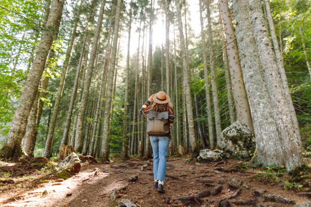 istock Woman with backpack hiking outdoors in the Forest. 2194181474