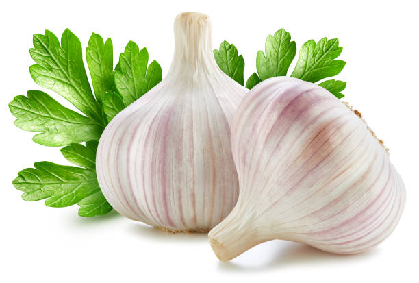 istock Organic garlic isolated on white background 2194182379