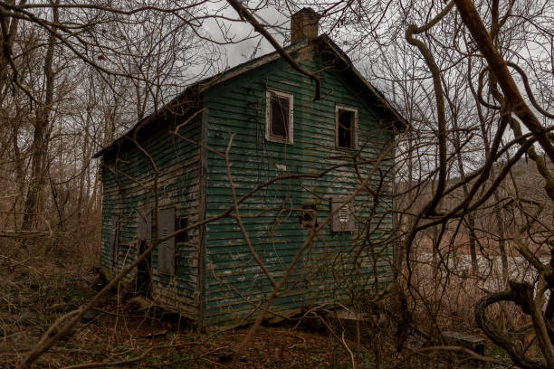 istock Abandoned house along the Old Mine Road 2194183101