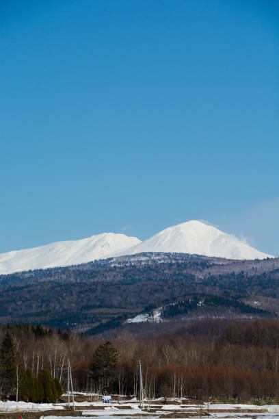 istock Snowy mountains and thickets on a sunny day in early spring 2194183271