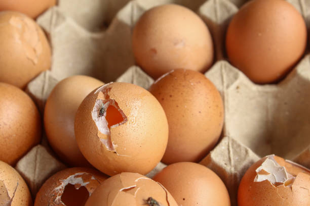 several organic raw chicken eggs damaged or cracked in egg carton close up