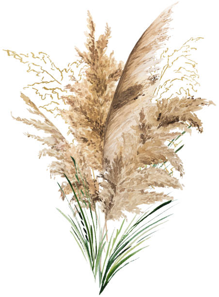 istock Bouquet with watercolor beige, green and golden pampas grass, Boho Wedding isolated illustration 2194187331