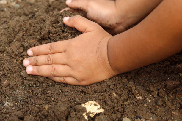istock Close up Children's hands with soil. Children play in dirt or mud 2194188070