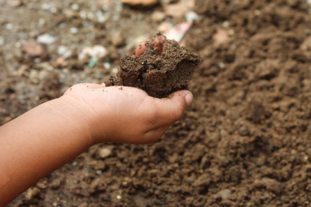 istock Close up Children's hands with soil. Children play in dirt or mud 2194188076
