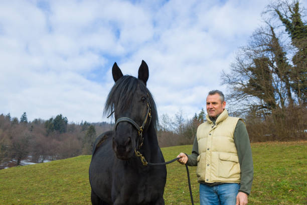 istock Adult man with horse outdoors on grass 2194190028