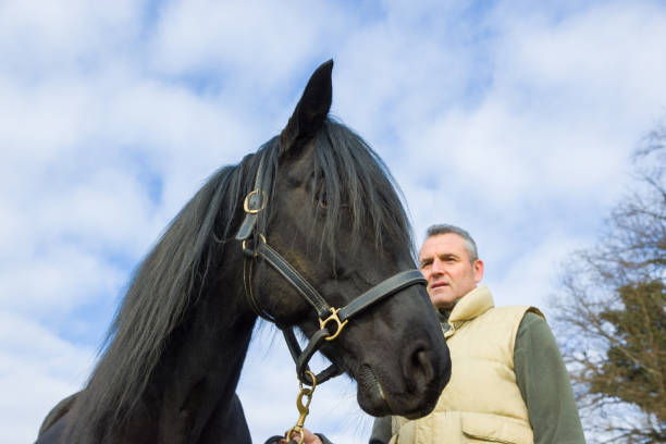 istock Adult man with horse outdoors on grass 2194190038