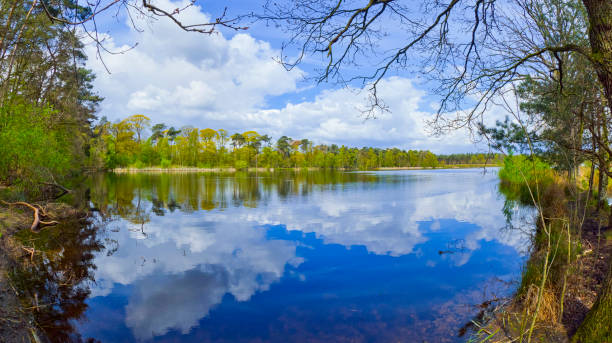 istock Mastbos Natural Reserve, Breda, Netherlands 2194193190