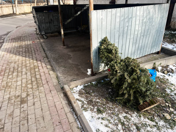 istock Discarded holiday tree beside metal structure on chilly day with light scattered snow 2194193634