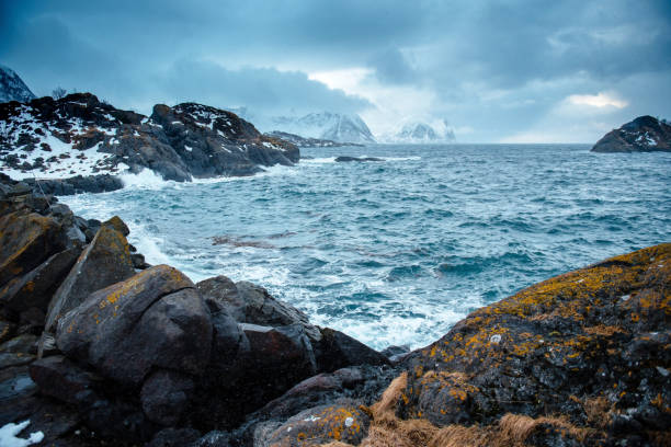 A dramatic seascape with rocky coastline and turbulent waves under a cloudy sky. Snow-covered mountains are visible in the distance, creating a cold and moody atmosphere.