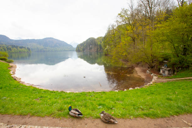 Alpsee Lake, Hohenschwangau, Germany